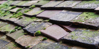 Hyde roof repair costs